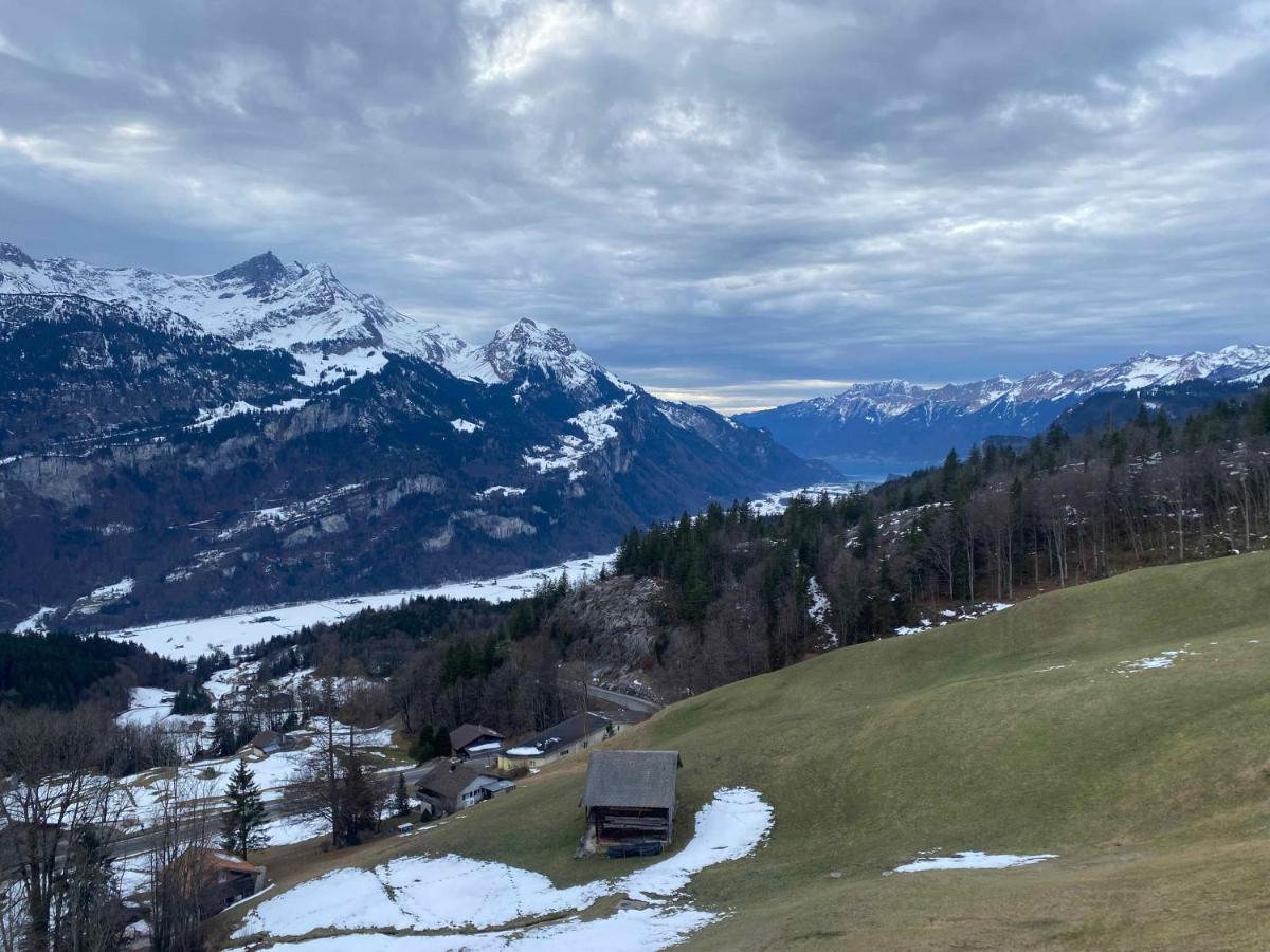 Spring Inn Apartments Meiringen Exterior photo